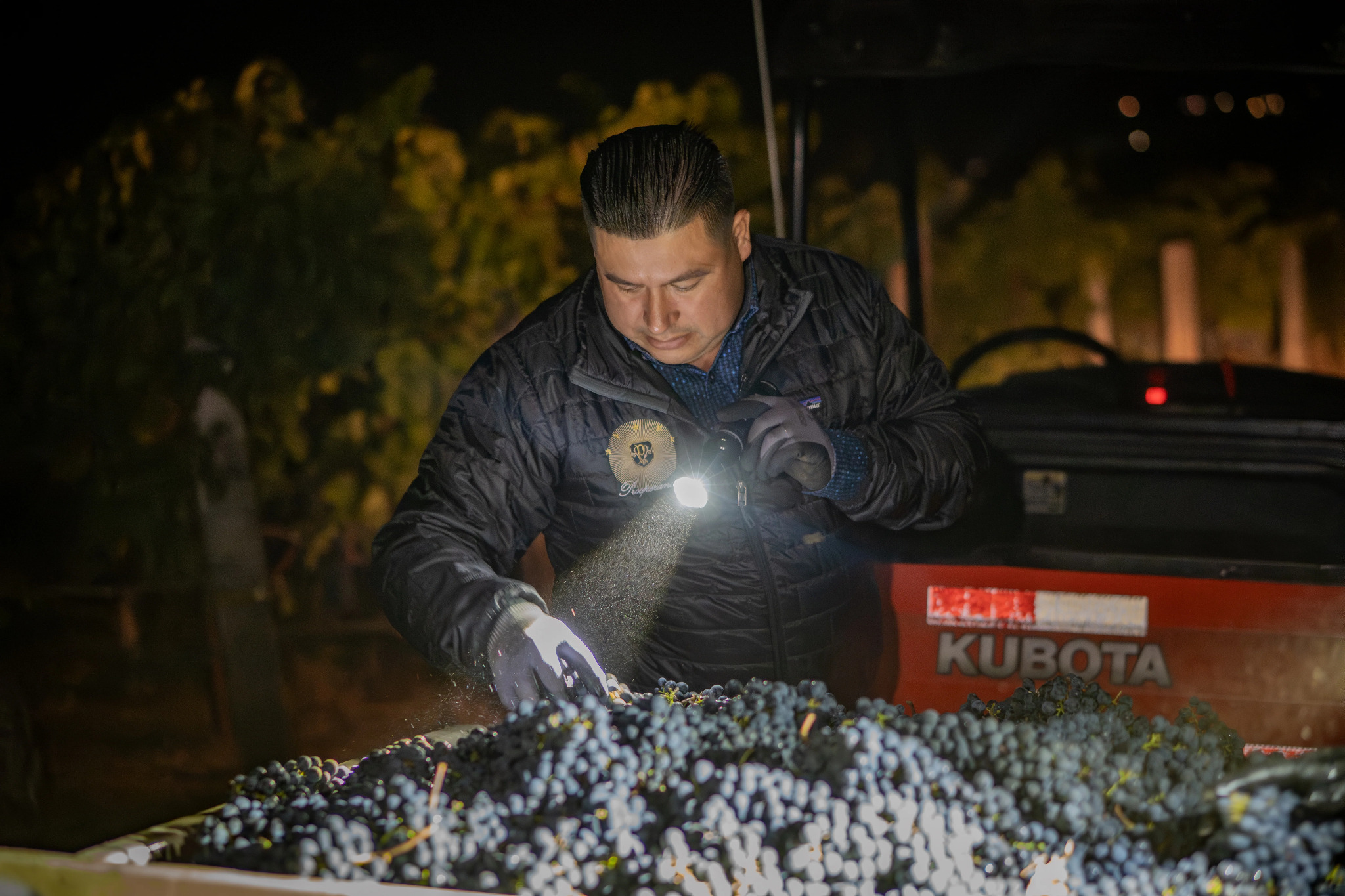 Prosperando Vineyards branding and website project